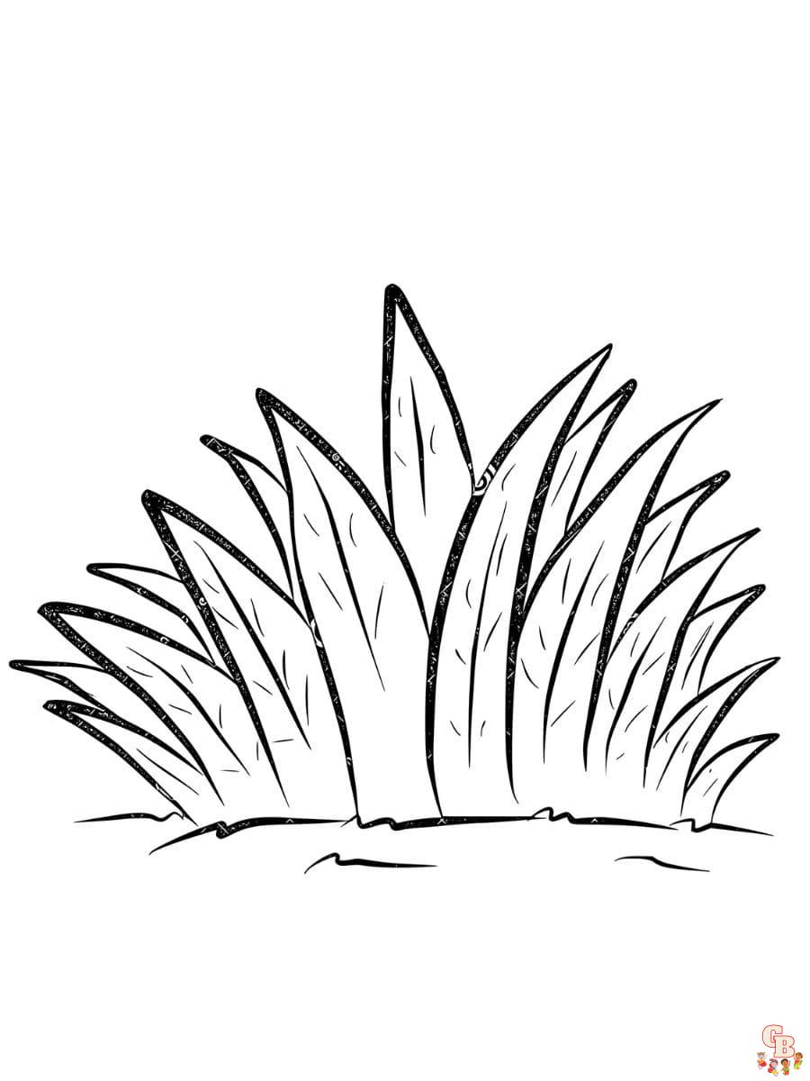 Printable grass coloring pages free for kids and adults