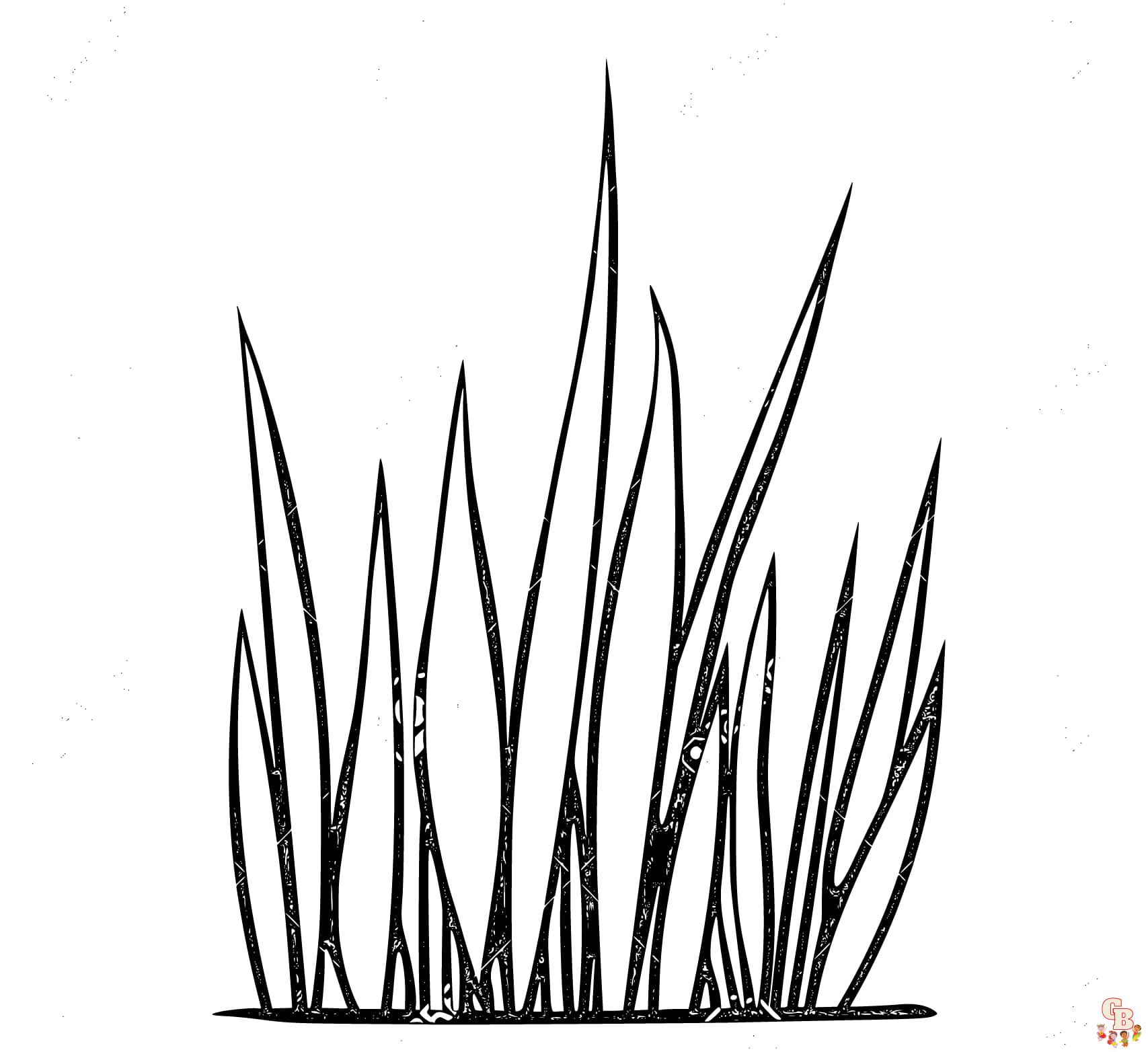 Printable grass coloring pages free for kids and adults