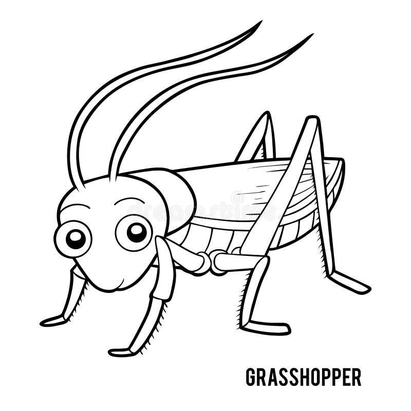 Coloring book grasshopper stock vector illustration of outline