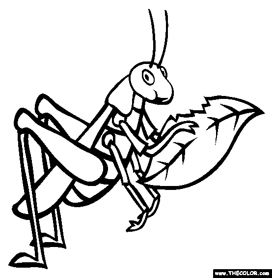 Grasshopper coloring page free grasshopper online coloring