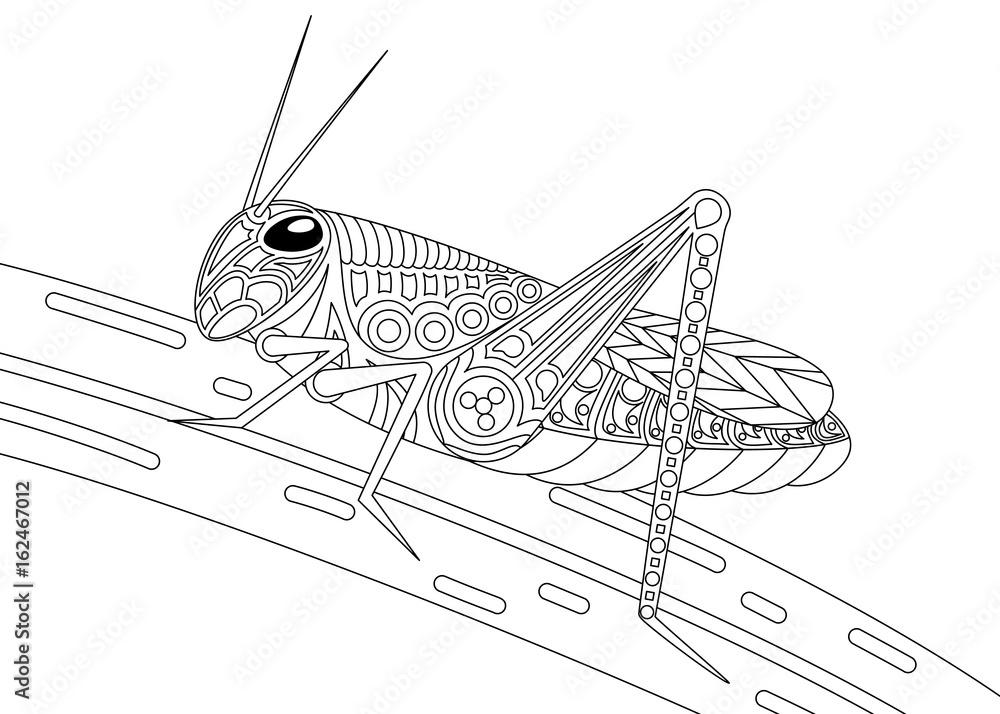 Monochrome grasshopper coloring page black over white vector