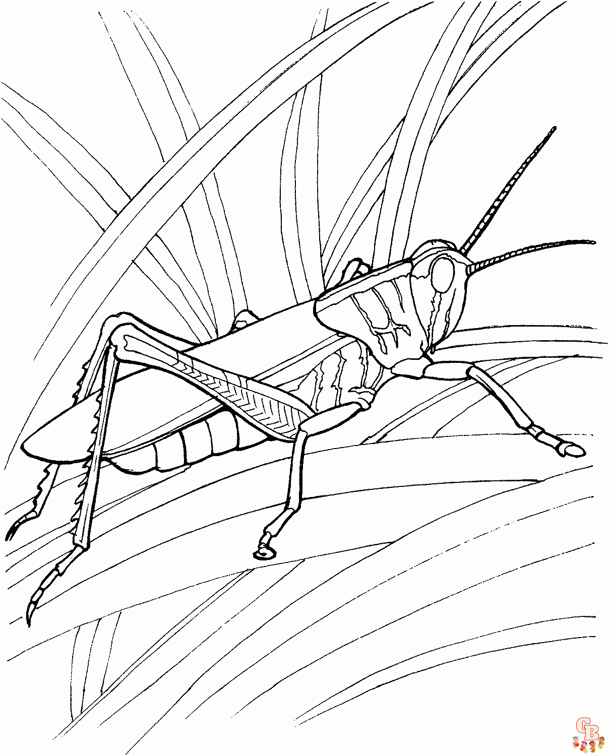 Beautiful grasshopper coloring pages for kids