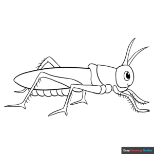 Grasshopper coloring page easy drawing guides