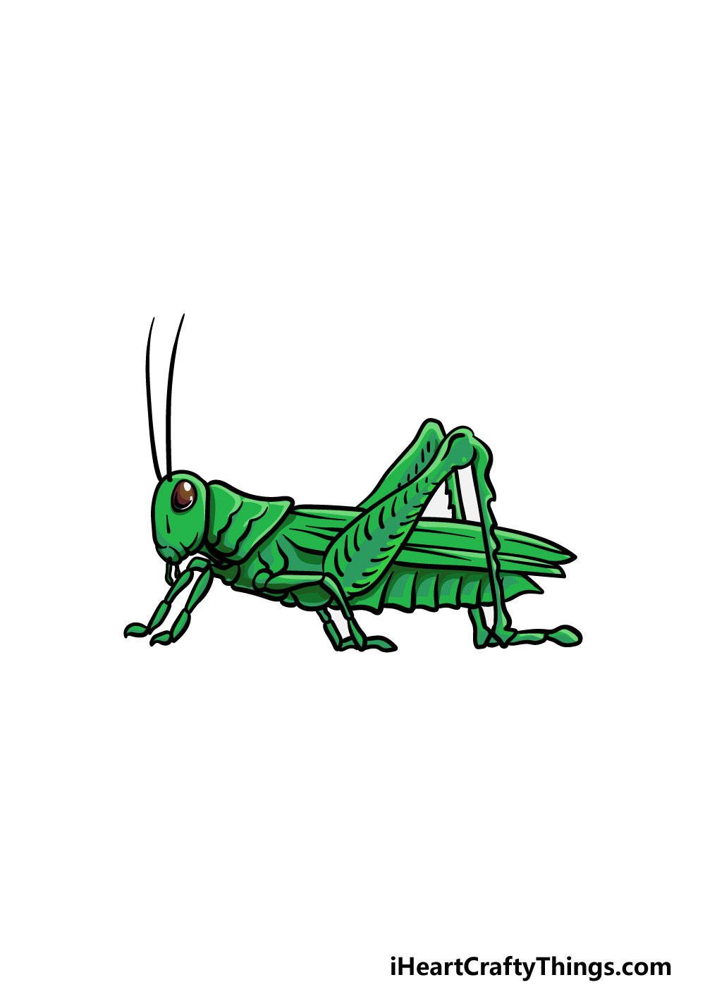 Grasshopper drawing