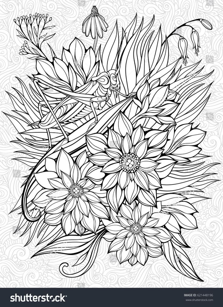 Floristic coloring page big grasshopper stock vector royalty free shutterstock flower coloring pages coloring pages adult coloring flowers