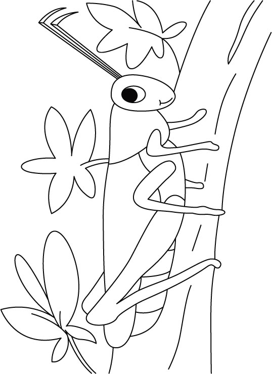 Grasshopper on a walk coloring pages download free grasshopper on a walk coloring pages for kids best coloring pages