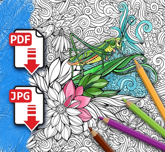 Adult botanical coloring page with flowers and grasshopper pdf printable coloring page digital download