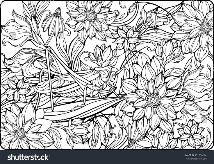 Colorg page lots flowers big grasshopper stock vector royalty free shutterstock colorg pages big grasshopper vector flowers