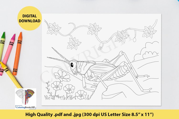 Grasshopper on the flowers coloring page for adult