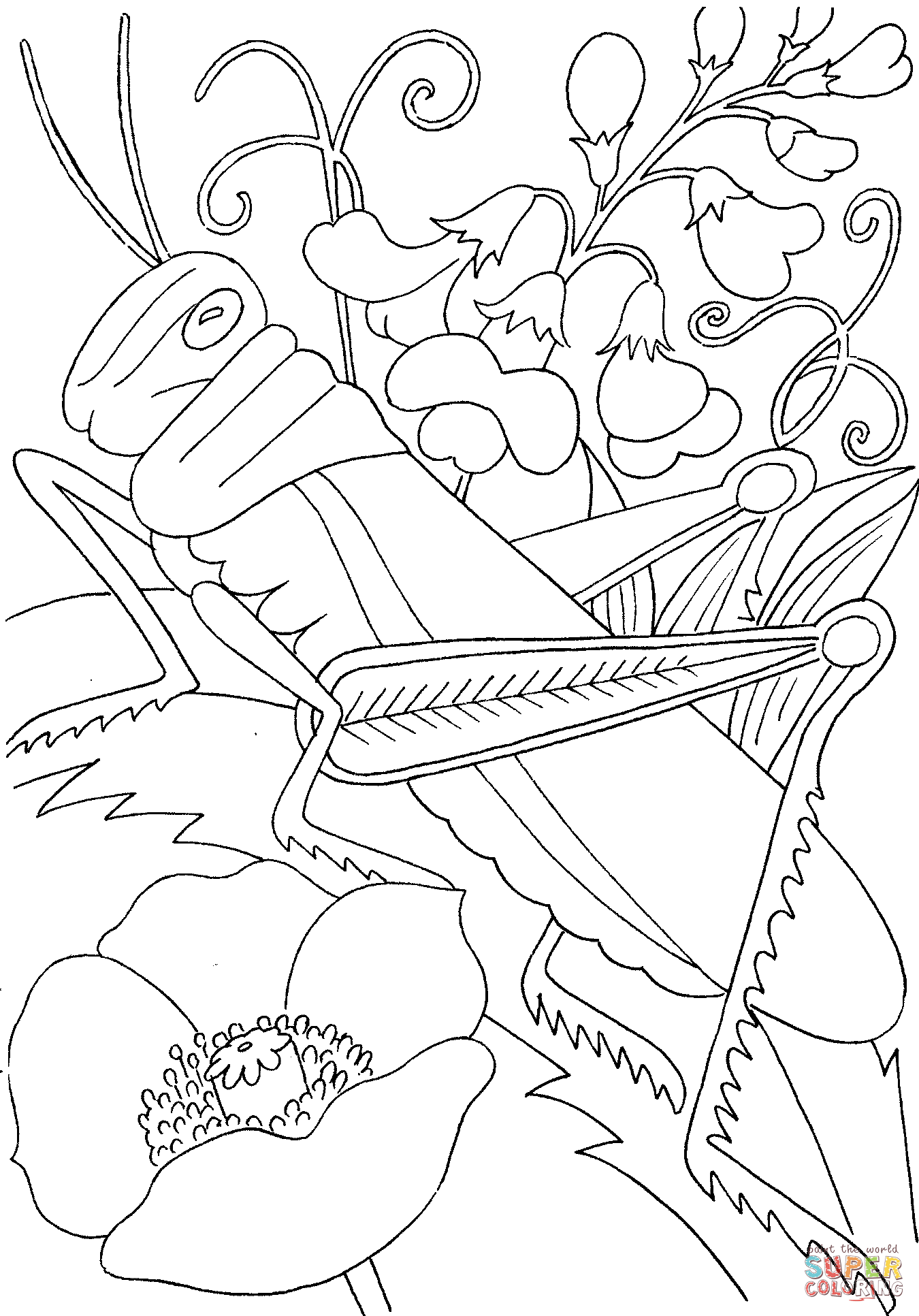 Grasshopper among flowers coloring page free printable coloring pages