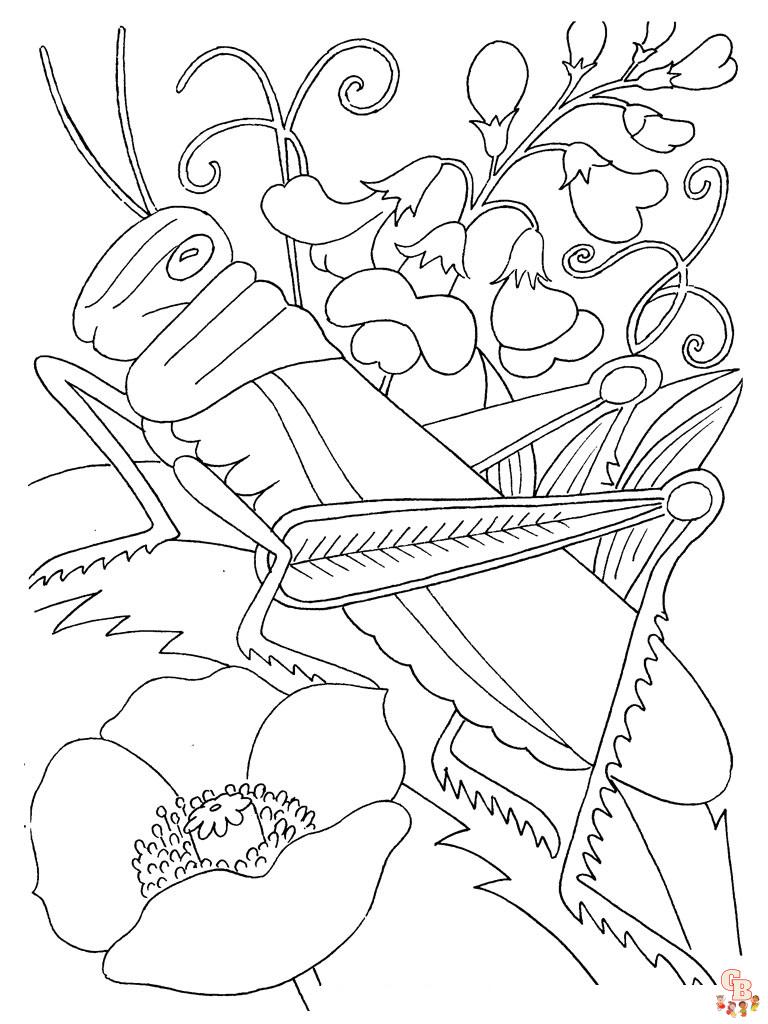 Beautiful grasshopper coloring pages for kids