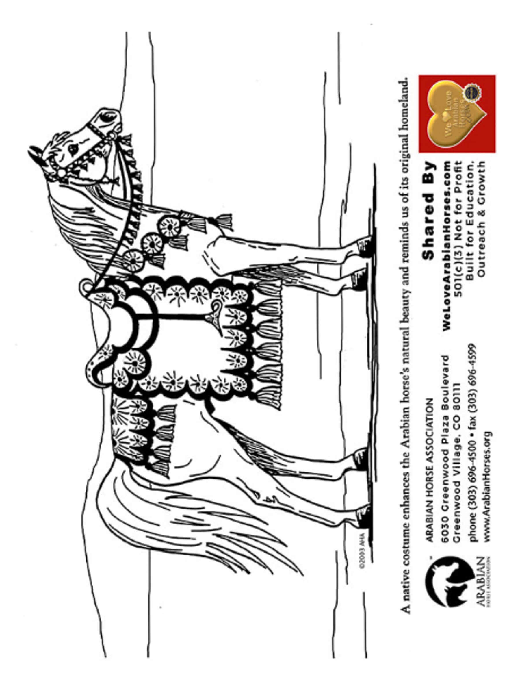 Resources â wlah arabian horse coloring pages