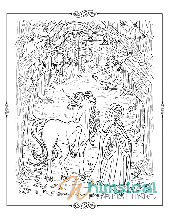 Arabian horse â whimsil publishing illustration