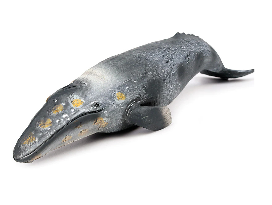 Cm gray whale pvc toy fish ocean sea animal figure doll kids gift