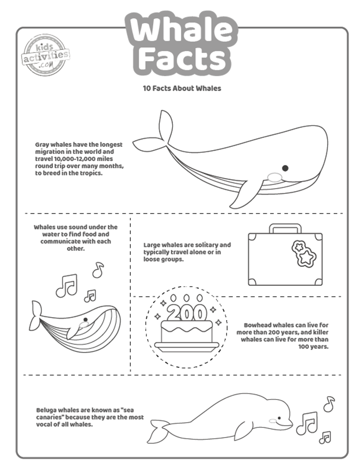 Fun whale facts for kids to print learn kids activities blog