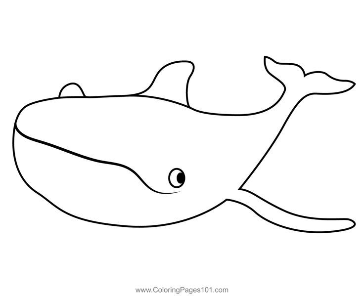 Gray whale octonauts coloring page coloring pages gray whale octonauts