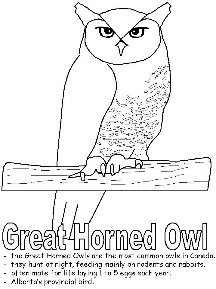 Great horned owl coloring page