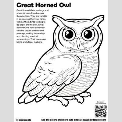 Great horned owl coloring page fun free downloads activity pages owl coloring pages bird coloring pages coloring pages