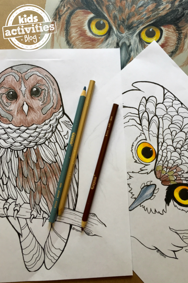 Coolest owl coloring pages for kids adults with video tutorial kids activities