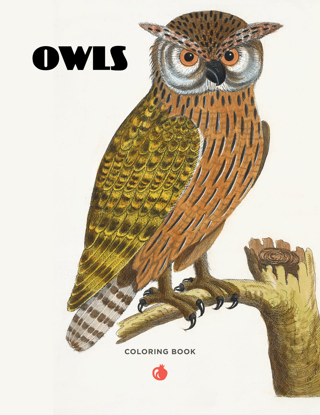 Owls coloring book â