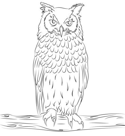 Bengalese eagle owl coloring page free printable coloring pages