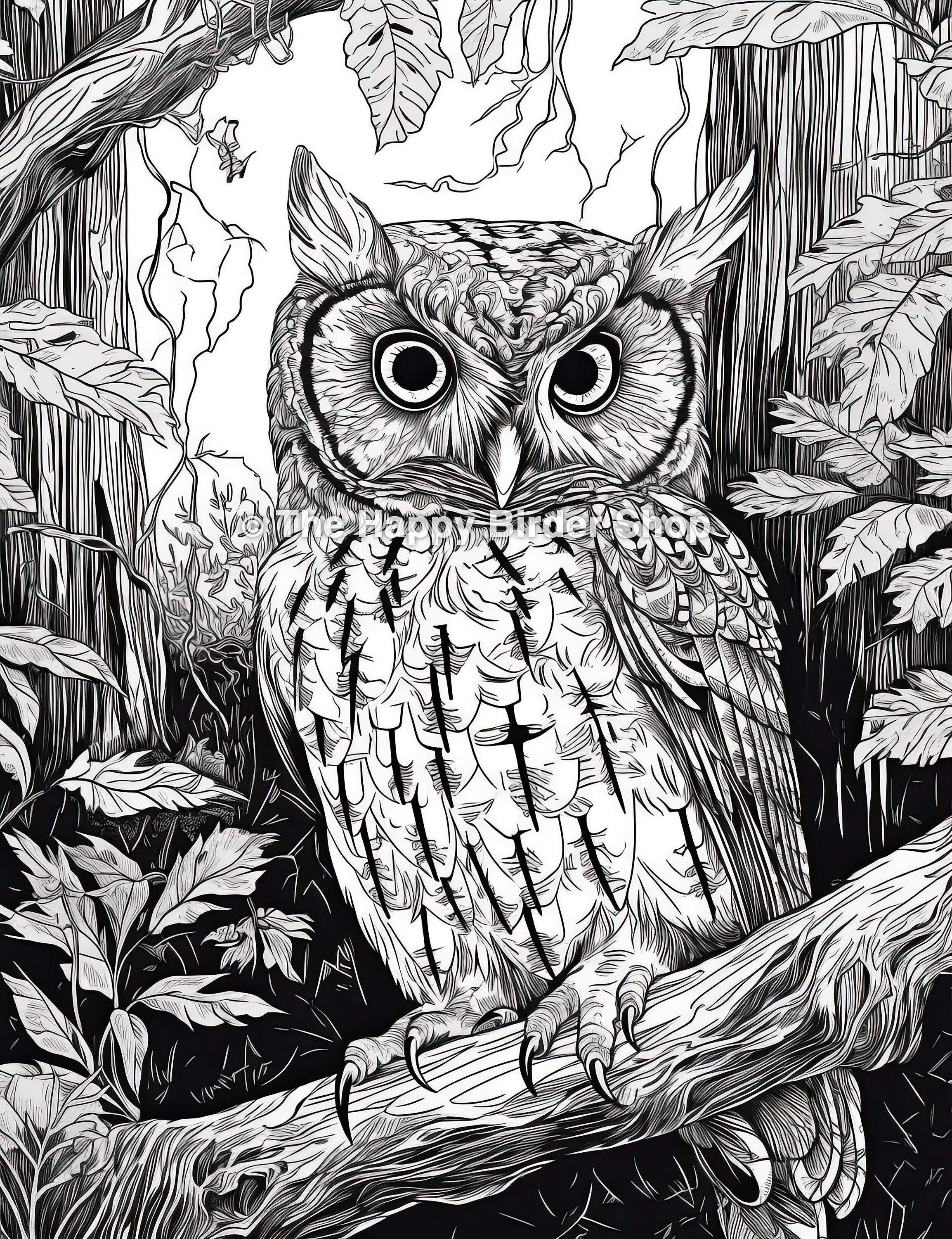 Great horned owl coloring page for owl coloring page for great horned owl adult coloring page for adult