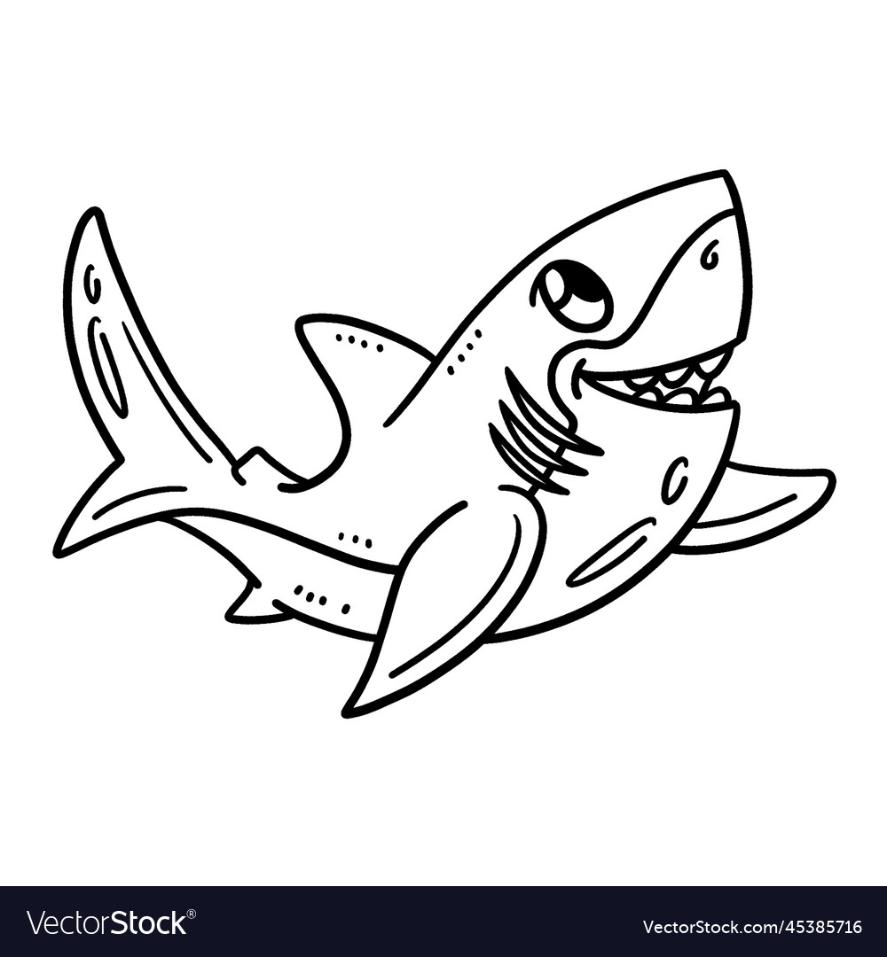 Baby great white shark isolated coloring page vector image