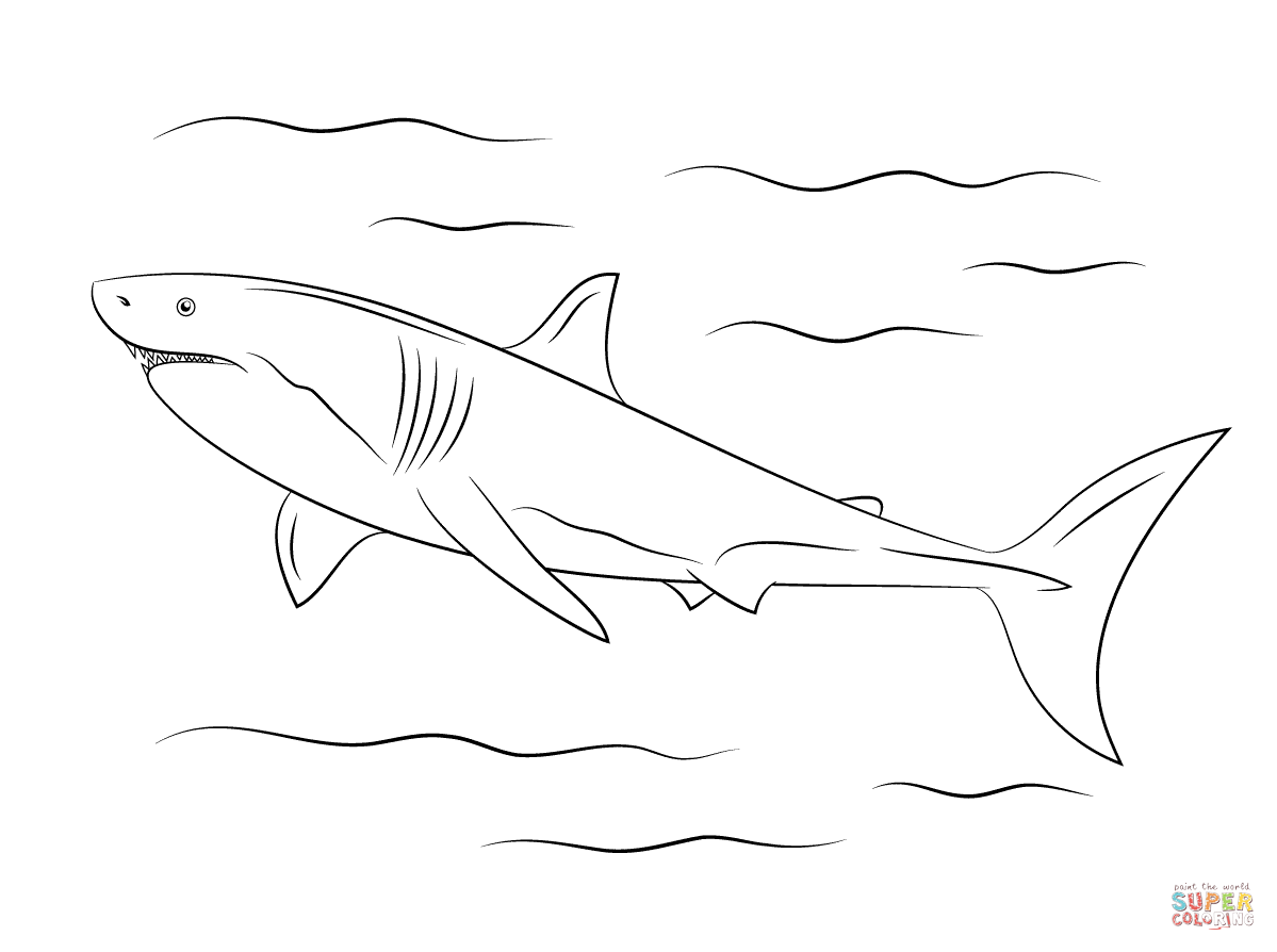 Great white shark coloring page free printable coloring pages