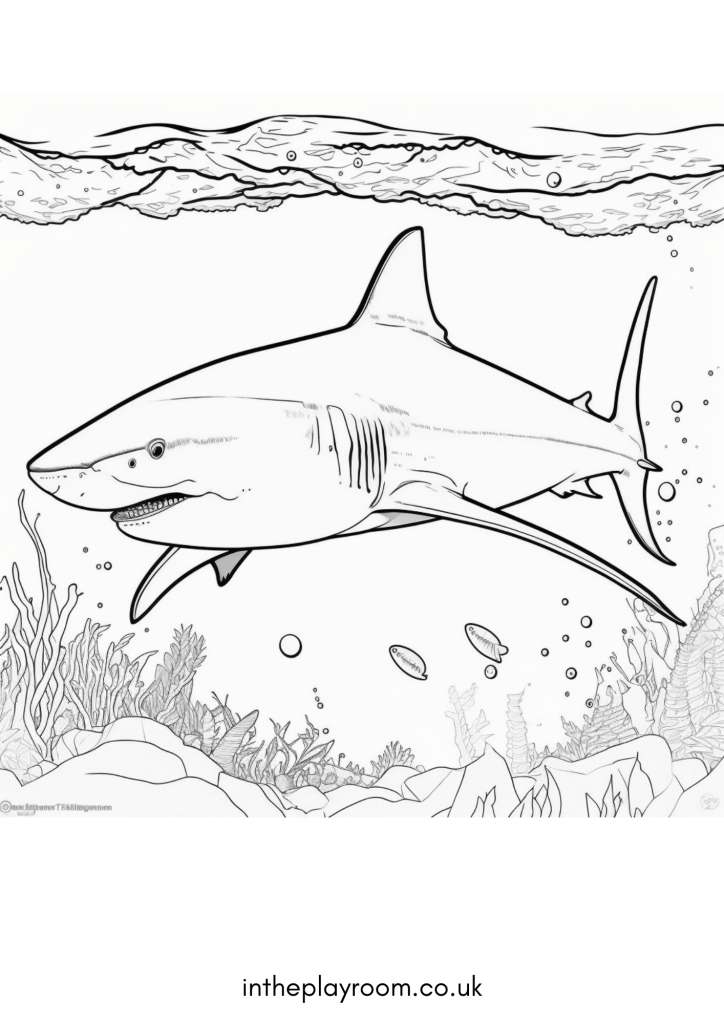 Free printable shark loring pages for kids