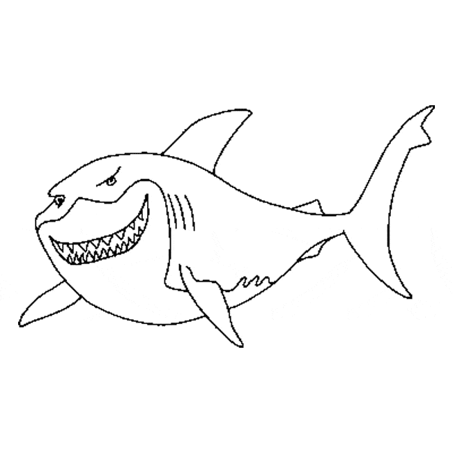 Great white shark coloring page