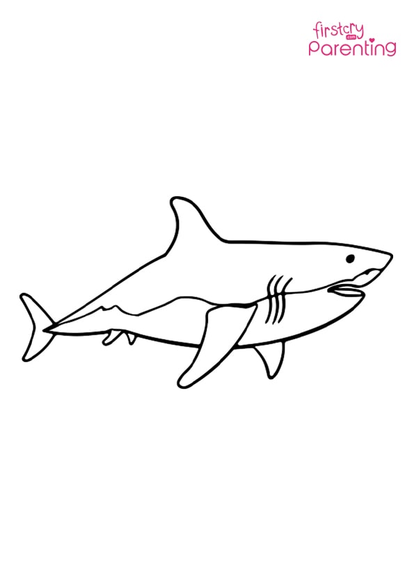 Great white shark coloring page for kids