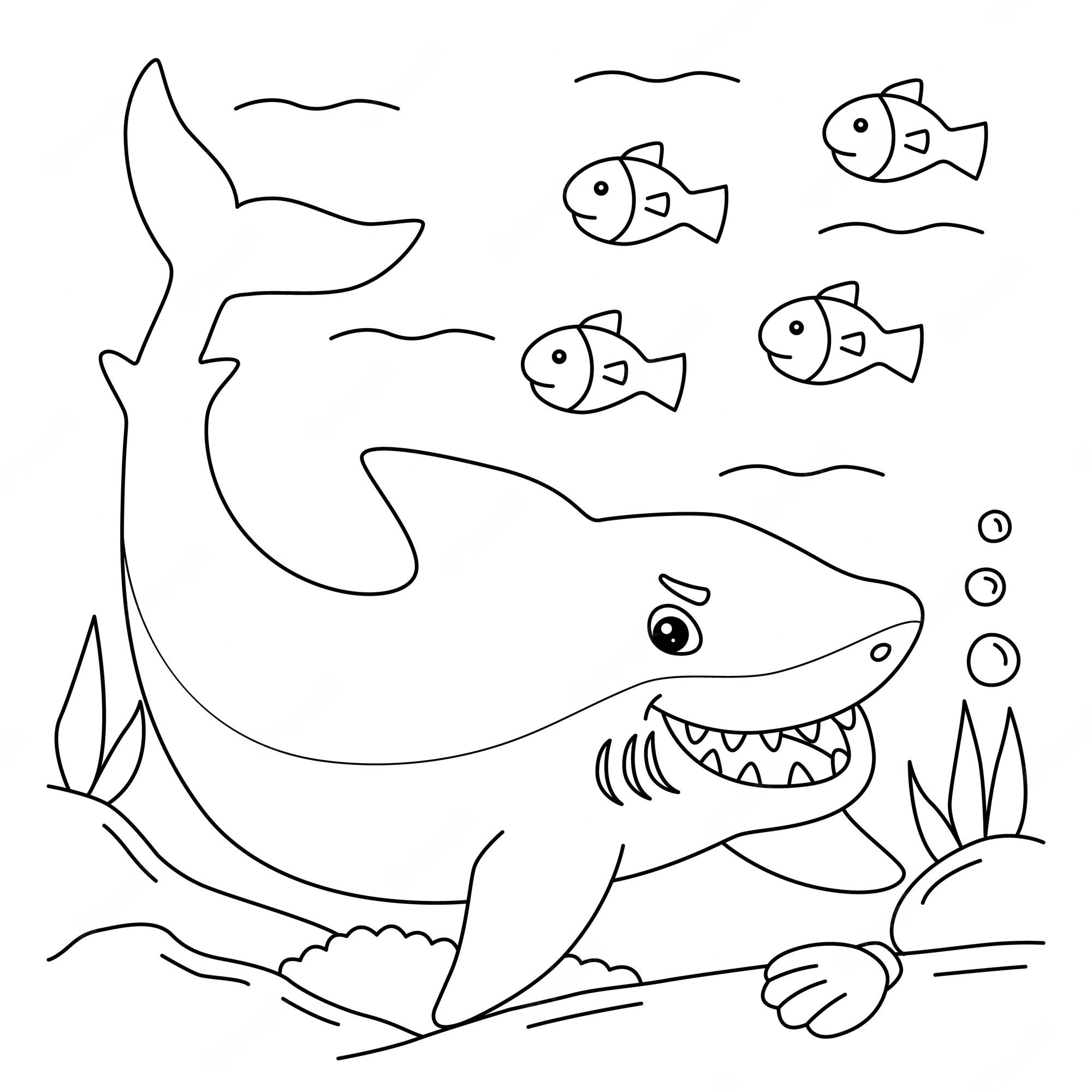 Premium vector great white shark coloring page for kids