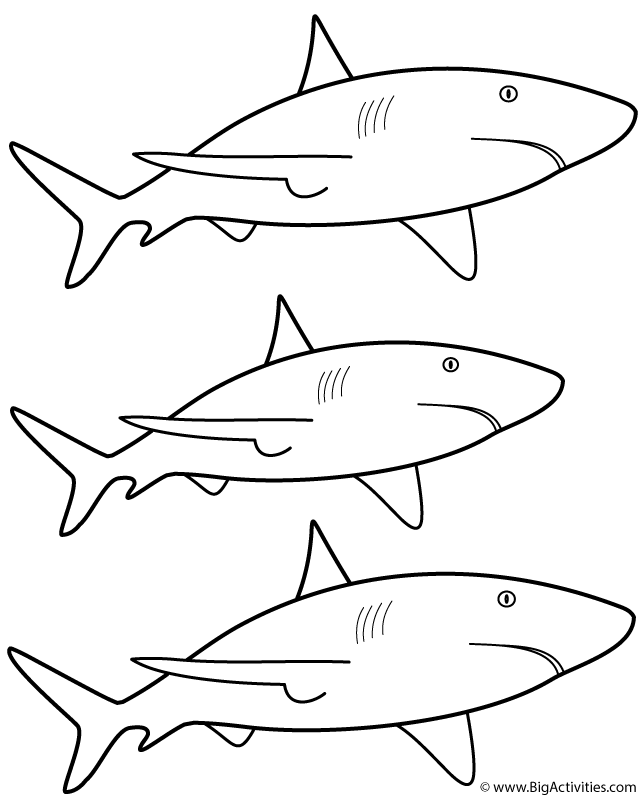 Great white sharks