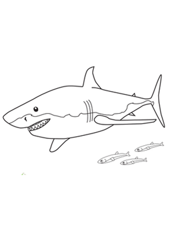 Coloring pages swimming shark coloring pages