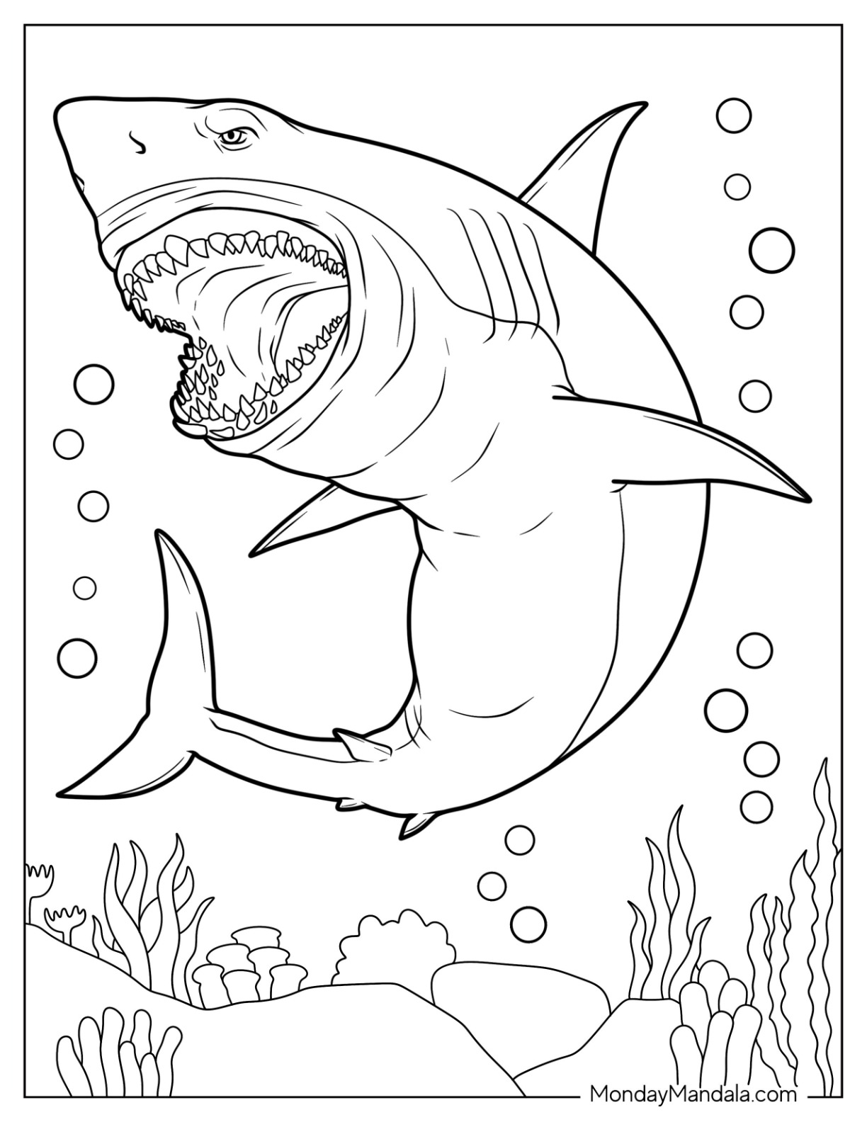 Shark coloring pages free pdf printables