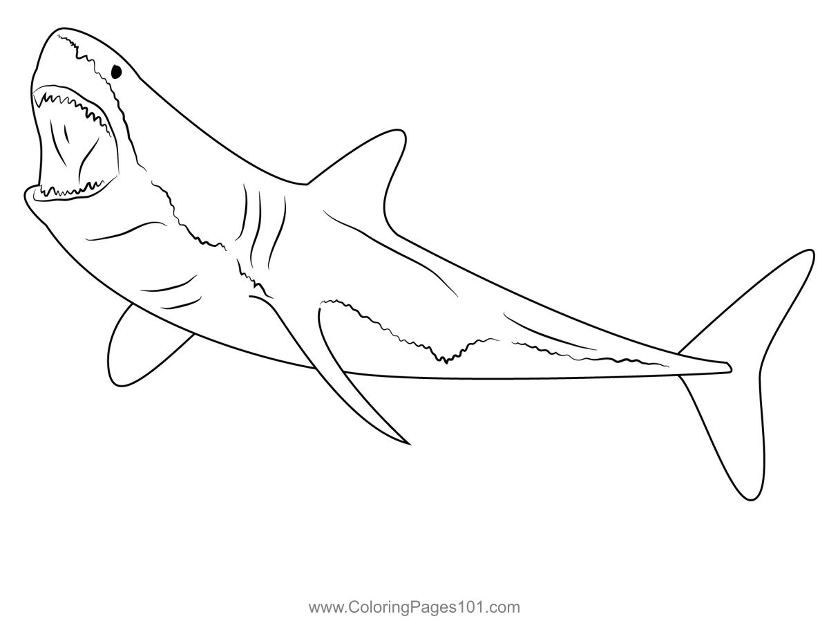 Great white shark diving coloring page shark diving great white shark white sharks