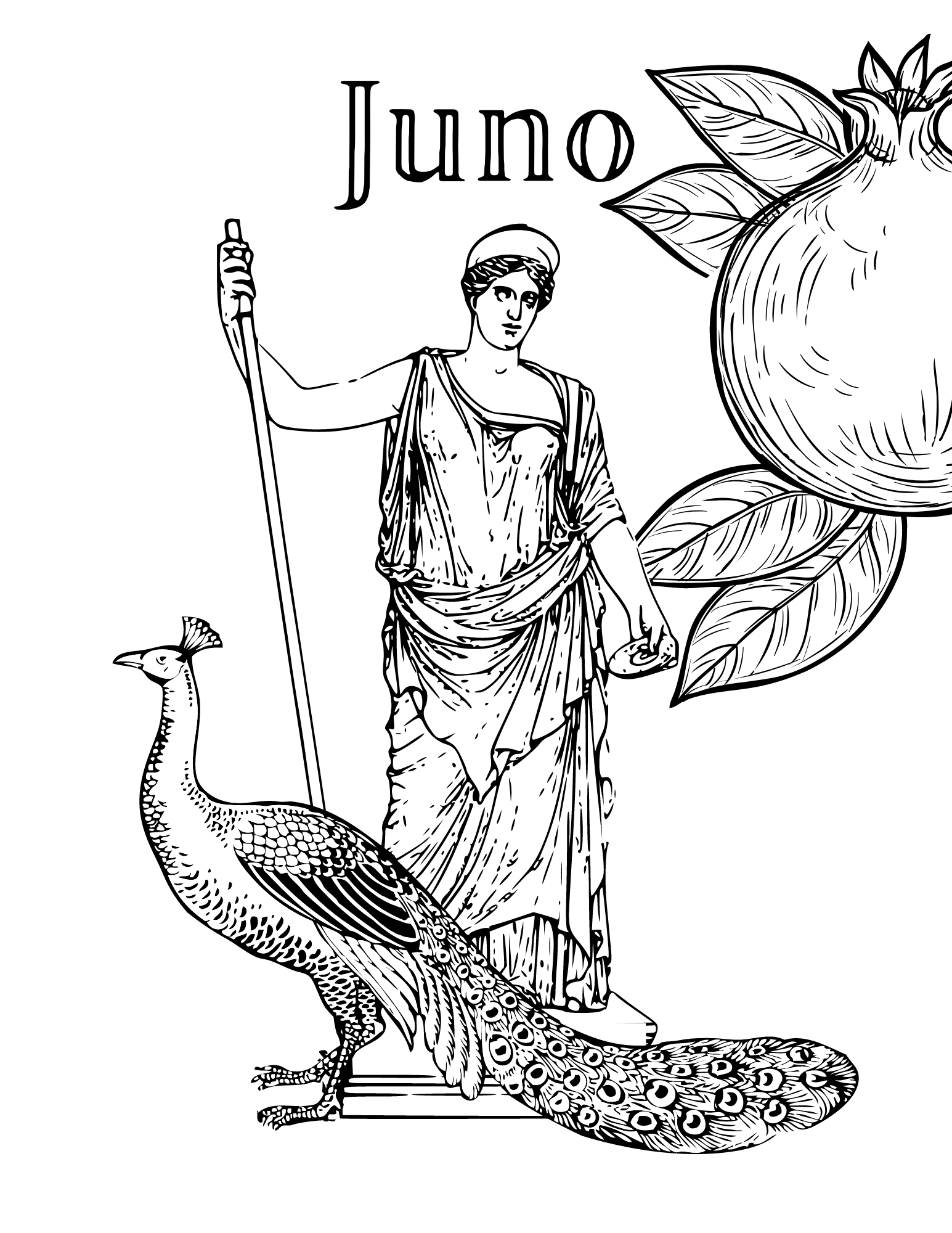 Titvs classics roman mythology coloring book an introduction to roman gods and goddesses