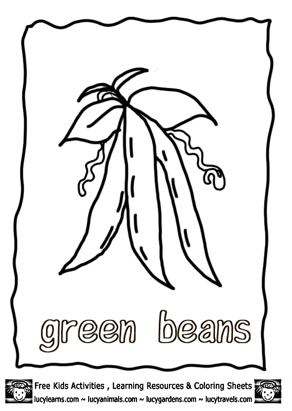 Pin by georgia organics on make room for legumes vegetable coloring pages coloring pages green beans