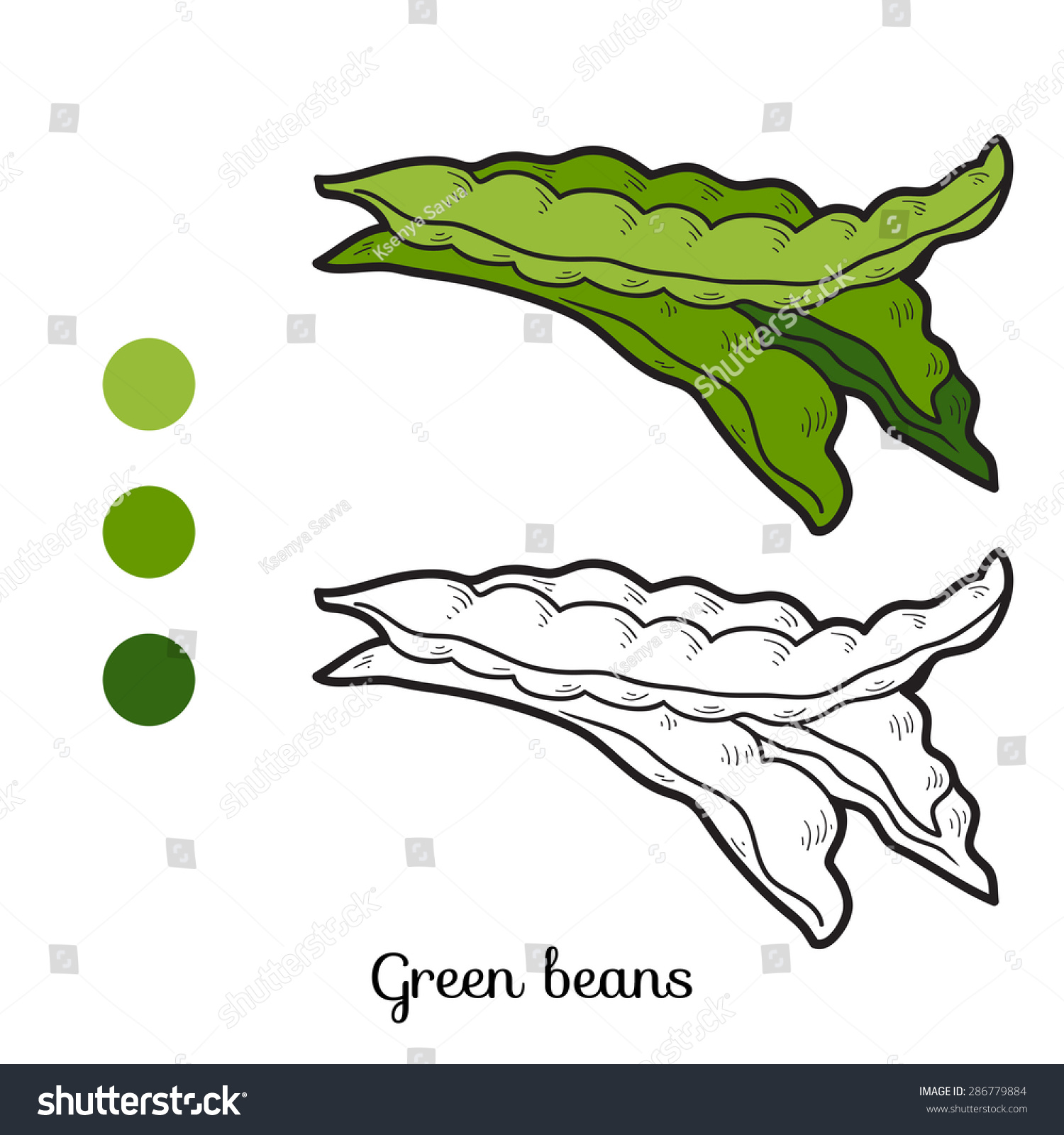 Coloring book green beans stock vector royalty free