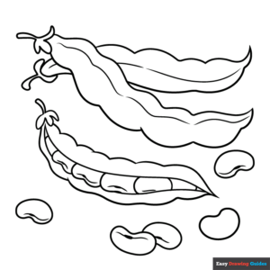 Beans coloring page easy drawing guides