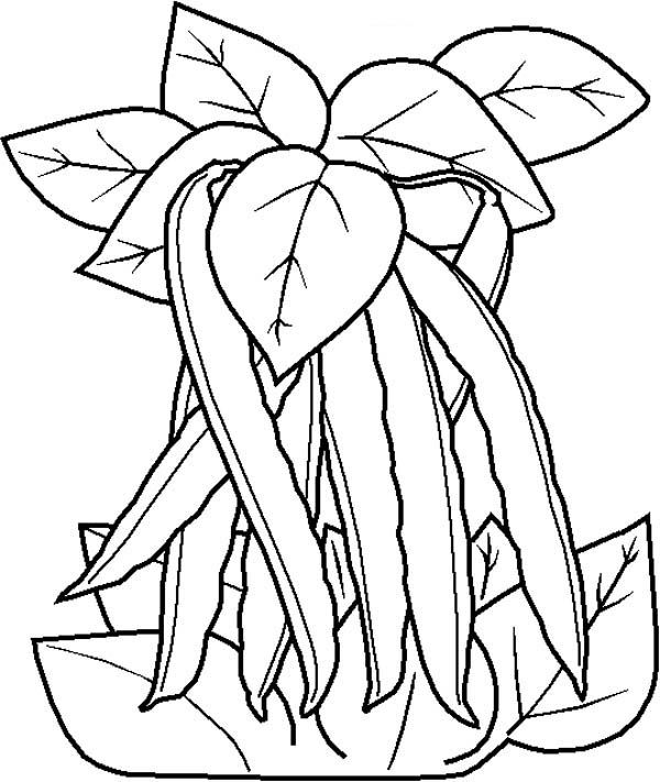 Free educational worksheets for all ages coloring pages vegetable coloring pages leaf coloring page