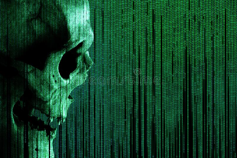 Human skull on green binary code matrix background side view of a human skull stock image