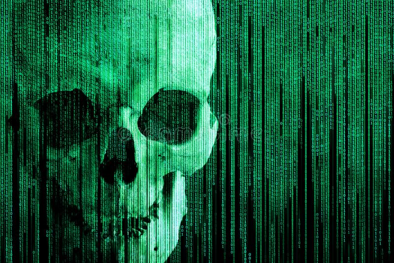 Skull in a digital matrix stock image image of hacker