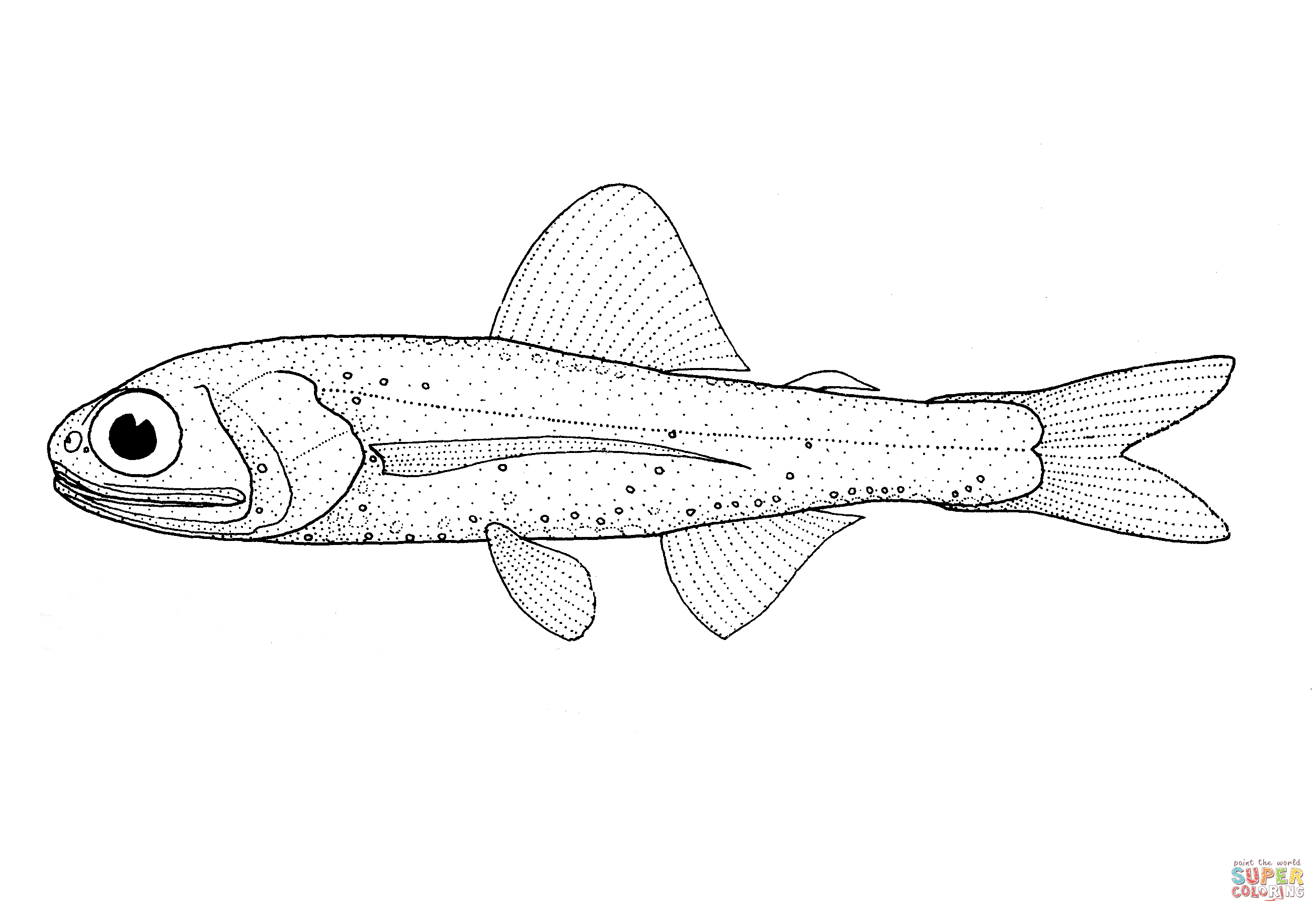 Ceratoscopelus warmingii warmings lantern fish coloring page free printable coloring pages