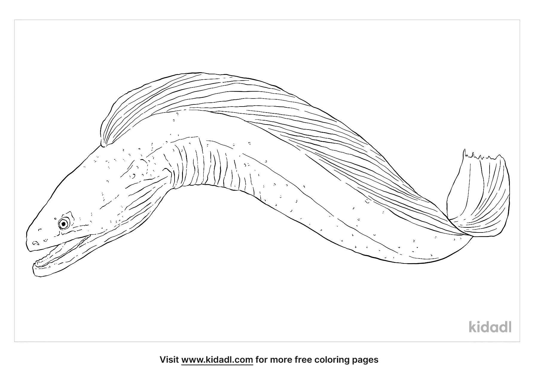 Free green moray eel coloring page coloring page printables