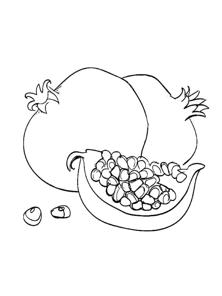 Drawing of a fresh grenade coloring page