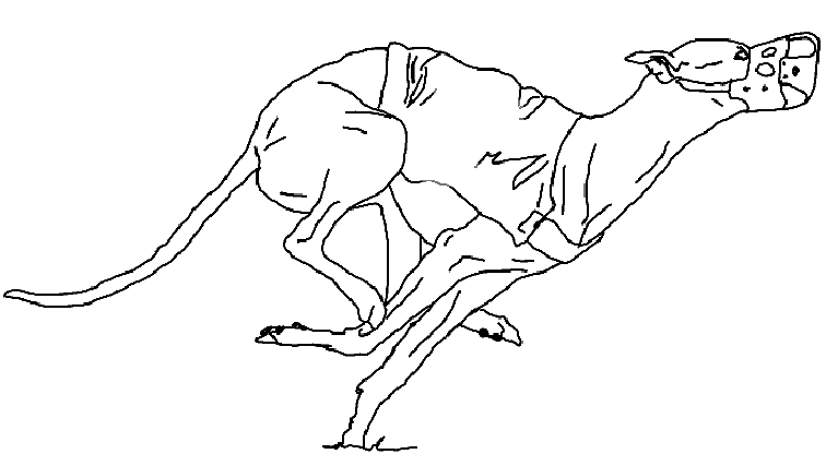 Greyhound coloring pages