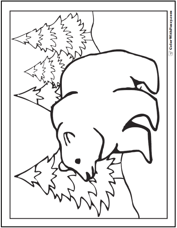 A grizzly bear coloring page is exciting