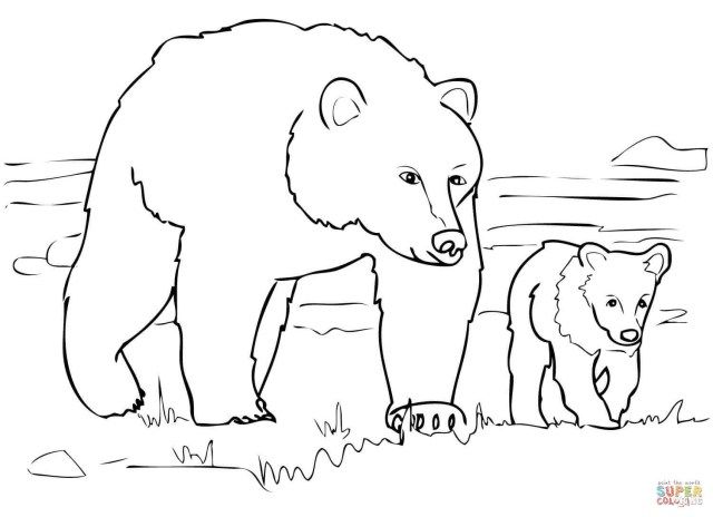 Wonderful image of bear coloring pages