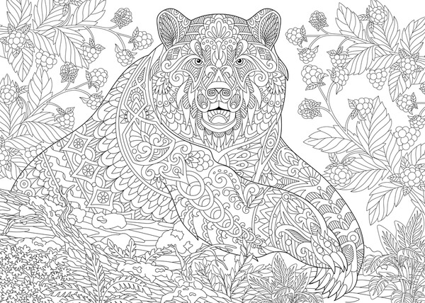 Adult coloring bears images stock photos d objects vectors